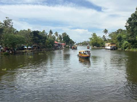       Scenic Kerala backwaters with small houseboats and coconut palms lining both sides of the river.
  