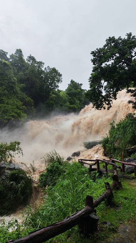       Powerful muddy waterfall crashing through lush jungle after heavy rain in Chiang Mai province.
  