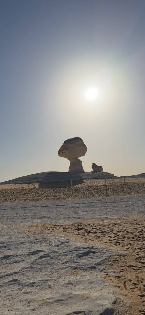       Mushroom-shaped white limestone rock formation rises from the sands of Egypt’s White Desert.
  