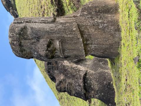       Eroded moai heads emerge from grassy slopes of Rano Raraku quarry beneath a blue sky.
  
