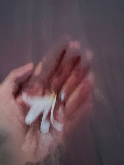       Blurry close-up of a hand holding a small white flower against a pinkish background.
  
