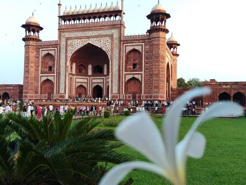       Busy entrance gate of the Taj complex with a blurred white flower in the foreground.
  