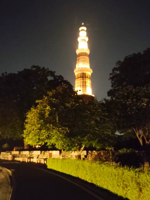       Blurry night shot of a tall illuminated tower partially obscured by trees.
  