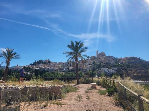       Hilltop view of the town of Cieza crowned by a church tower with palm trees and a bright sunburst.
  