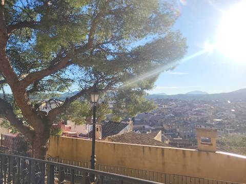       Sunlit townscape viewed through a foreground tree branch with mountains hazy in the distance.
  
