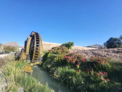       Large historic water wheel beside blooming flowers and a stone embankment under clear blue skies.
  