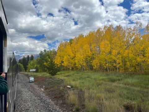       Train moving past a stand of vibrant yellow aspen trees against partly cloudy sky
  