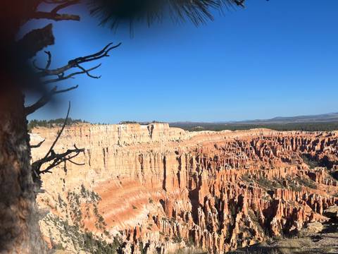       Wide view of orange spire-filled canyon amphitheater under clear blue sky
  