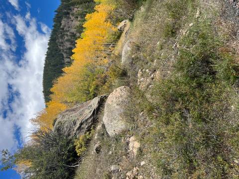       Hillside covered in autumn foliage with rocks and cloudy blue sky above
  