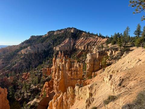       Panoramic view of Bryce Canyon’s hoodoos and forested ridges under a clear blue sky.
  