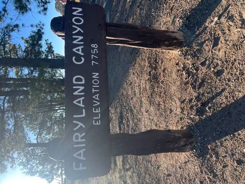       Wooden elevation sign reading "Fairyland Canyon Elevation 7758" shaded by tall pines.
  