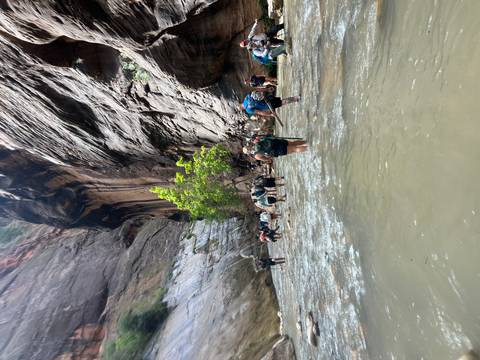       Adventurers wade through knee-deep river water between towering canyon walls in the Narrows.
  