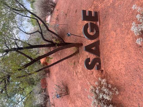       Dry desert garden plot with small shrubs, a tree, and a metal "SAGE" label in the foreground.
  