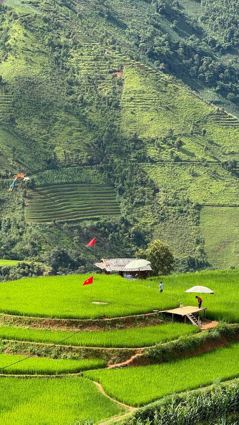       Close hillside of steep terraced rice paddies with small shelter and colorful kite in sky.
  