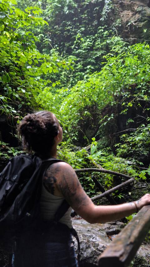       Back-packed explorer gazes upward at thick leafy vines in a green jungle ravine.
  