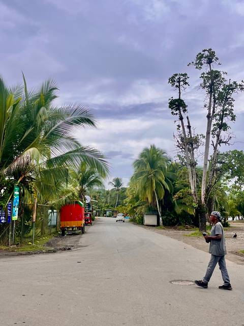       Quiet coastal village road lined with palms and colorful kiosks on a cloudy afternoon.
  