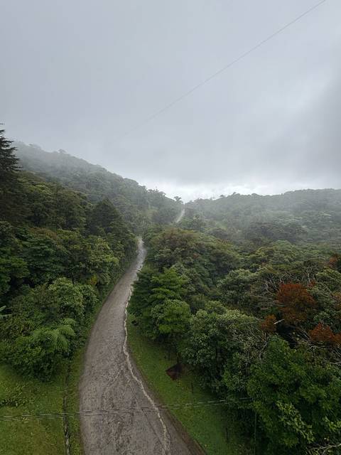       Misty view over a winding dirt road snaking through dense cloud forest hills.
  