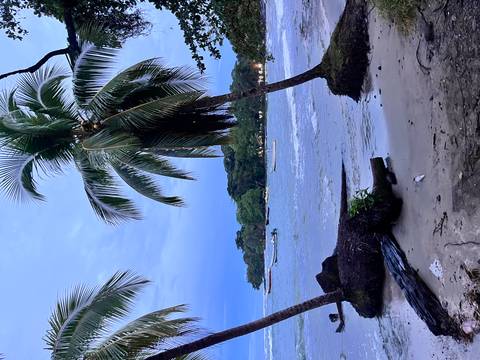       Dusk settles over a palm-lined tropical bay with small boats anchored near shore.
  