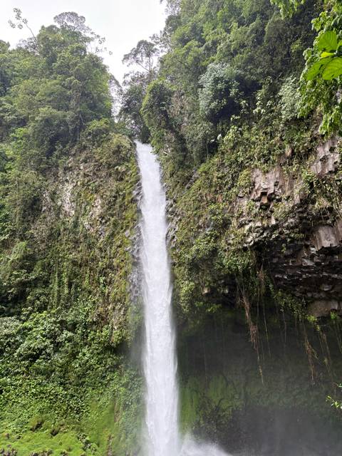       Powerful tropical waterfall plunges down a moss-covered cliff into a rocky pool.
  