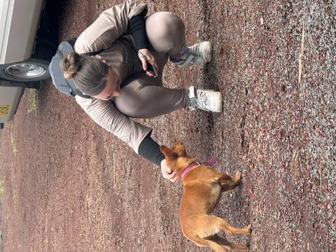       Traveler crouches to pet a small brown dog on a red gravel surface near a vehicle.
  