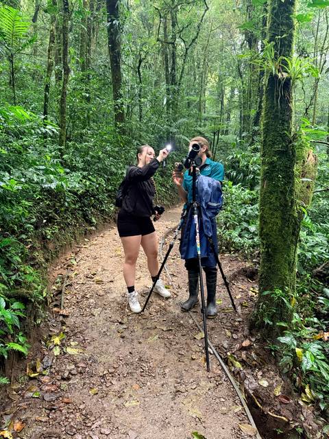       Travelers use a flash and camera on a tripod to capture rainforest wildlife along a muddy trail.
  