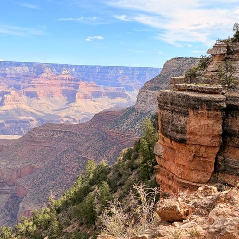       Vast layers of the Grand Canyon with colourful rock strata and pine-clad cliffs.
  