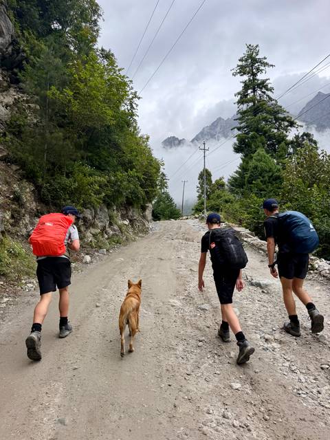       Three young hikers with backpacks and a dog walk up a rocky mountain road lined with pine trees beneath mist-covered peaks.
  