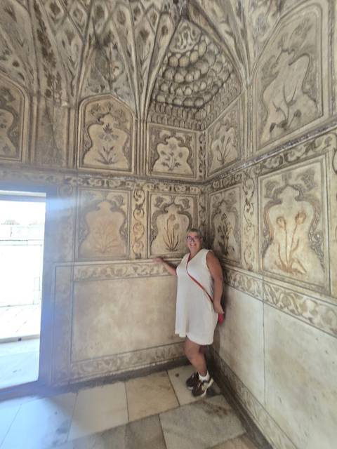       Blurred interior shot of a richly decorated Mughal chamber with a visitor touching the patterned wall.
  