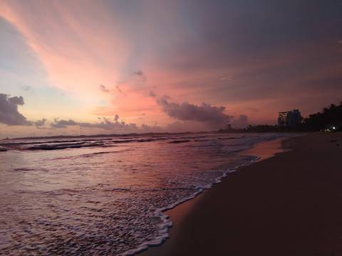      Soft pink and orange sunset colours reflect on gentle waves along a tropical beach.
  