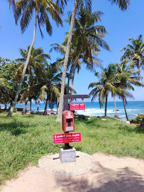       Palm trees sway above a signpost for Dondra Head overlooking bright blue sea.
  