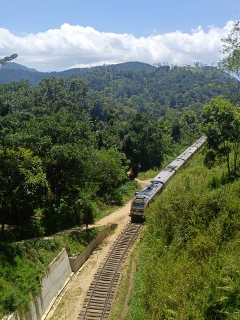       A long passenger train snakes through lush tropical forest and rolling green hills on a dirt track.
  