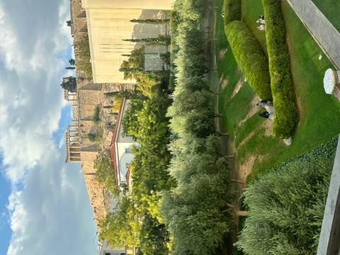       Leafy foreground frames the Acropolis atop its hill beyond manicured museum gardens.
  
