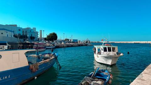       Fishing boats docked in a bright turquoise harbor beneath a cloudless sky.
  