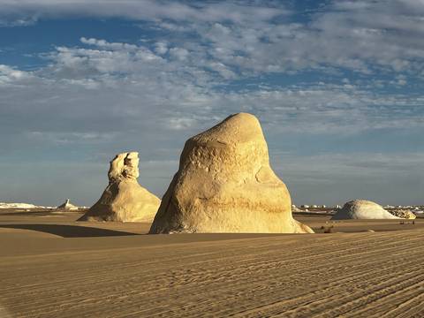       Iconic mushroom-shaped chalk pinnacles rise from golden sand under a speckled sky in the White Desert.
  