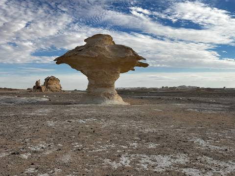       Broad mushroom-like chalk formation dominates barren desert flats with scattered white stones.
  