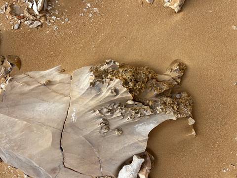       Thin flaky rock fragment with crystalline edge resting on smooth desert sand.
  