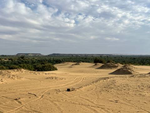      View from sandy ridge overlooking a lush green oasis framed by distant mesas.
  