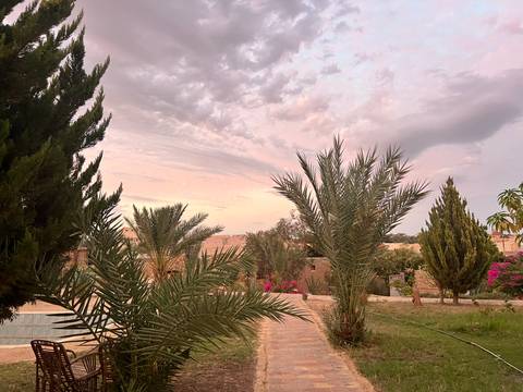       Soft pastel sky over an oasis garden with palm trees and flowering bushes.
  