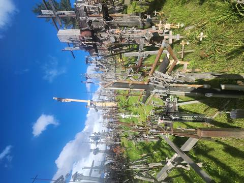       Dense field of wooden crosses and crucifixes set on a grassy hill under bright blue sky.
  