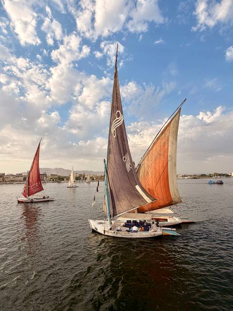       Traditional feluccas with multicoloured sails gliding on the Nile against a partly cloudy sky
  