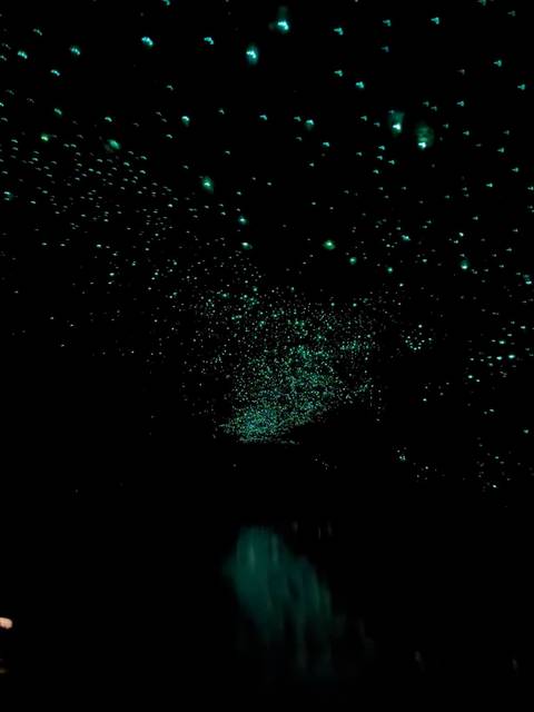       Dark cave ceiling sparkling with countless greenish bioluminescent glowworms resembling stars
  