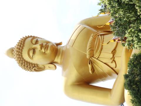       A towering golden Buddha statue looks serenely down against a bright sky.
  