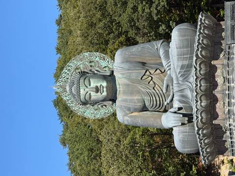       Large bronze seated Buddha with halo at a mountain temple surrounded by forest.
  