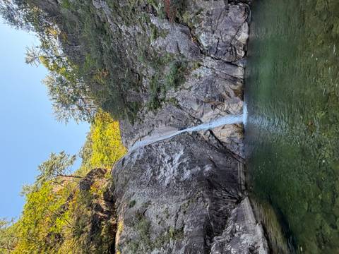       Tall narrow waterfall cascading down a rocky cliff into a clear green pool surrounded by forest.
  