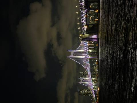       Illuminated suspension bridge spanning dark waters against a city skyline at night.
  