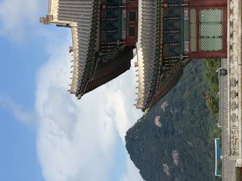       Elegant tiled palace roof with forested mountain backdrop under a bright blue sky.
  