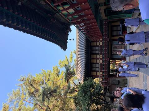       Temple stay participants in grey robes explore a traditional courtyard under tall pines.
  