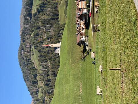       Grassy alpine valley with solitary church steeple and forested slopes under clear blue sky in the Dolomites.
  