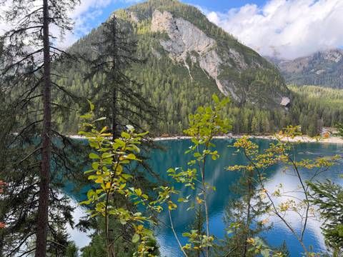       Emerald-blue alpine lake surrounded by dense evergreen forest and dramatic rocky mountains in the Dolomites.
  