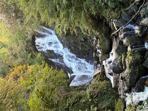       A multi-tiered forest waterfall cascades over mossy rocks surrounded by green foliage.
  